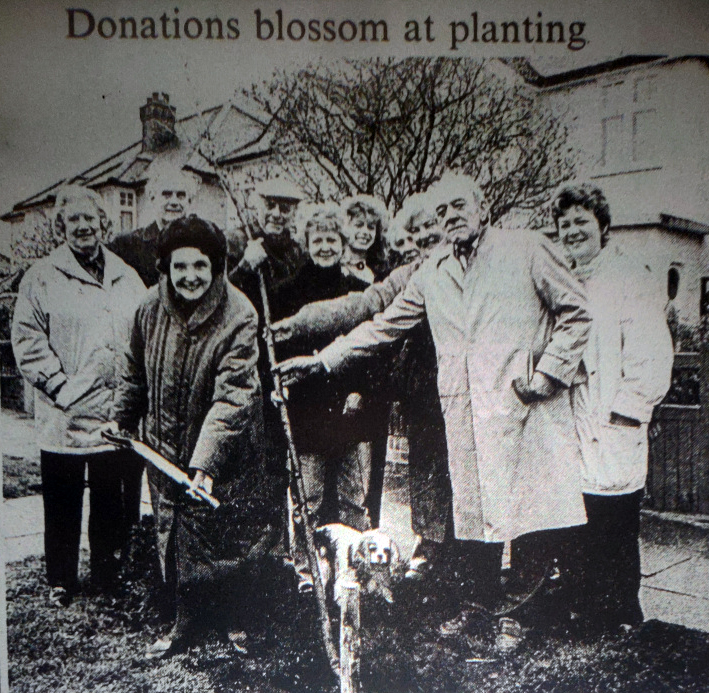 Planting trees in 1992