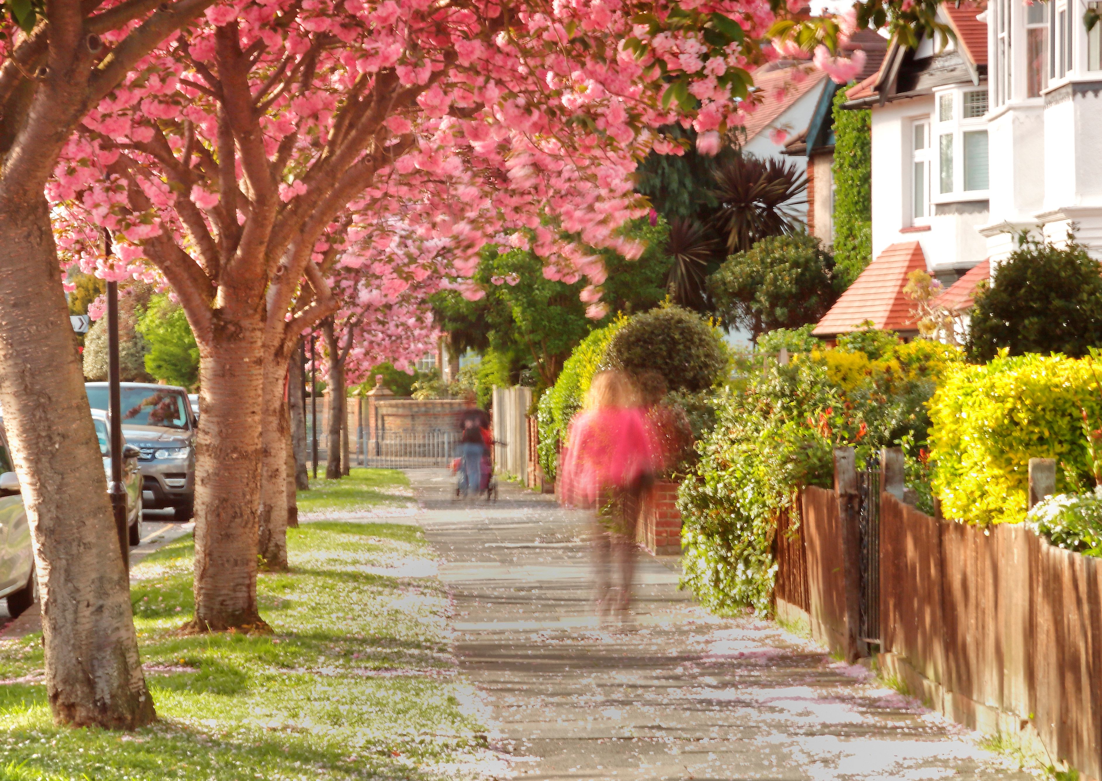 Matching Pink
Copyright Jon Perry